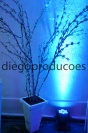 Diego Produções