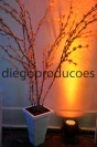 Diego Produções