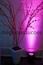 Diego Produções