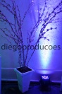 Diego Produções